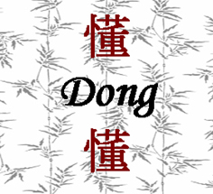 Sprachschule Dong für Chinesisch